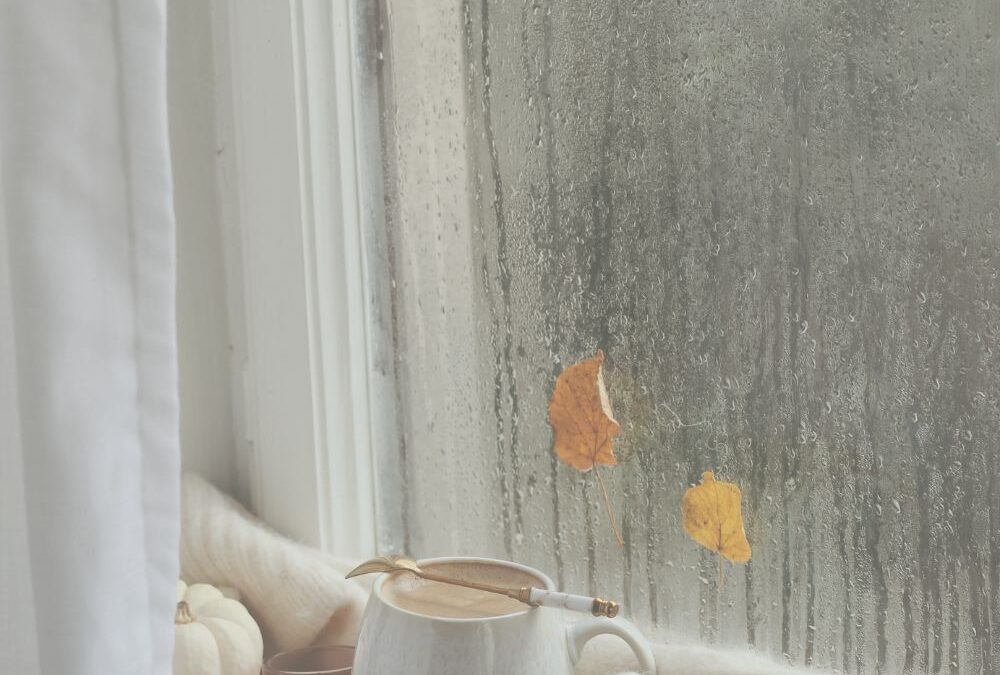 Making the Most of a Rainy Day: 7 Productive Activities to Do