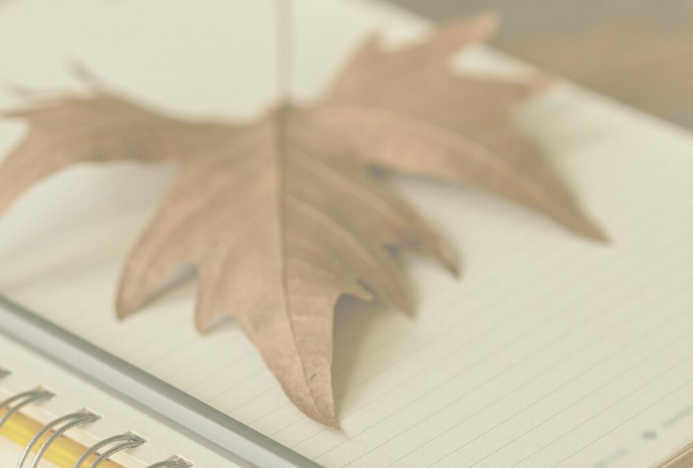 25 Inspiring Gratitude Journal Prompts to Celebrate Thanksgiving and Warm Your Heart