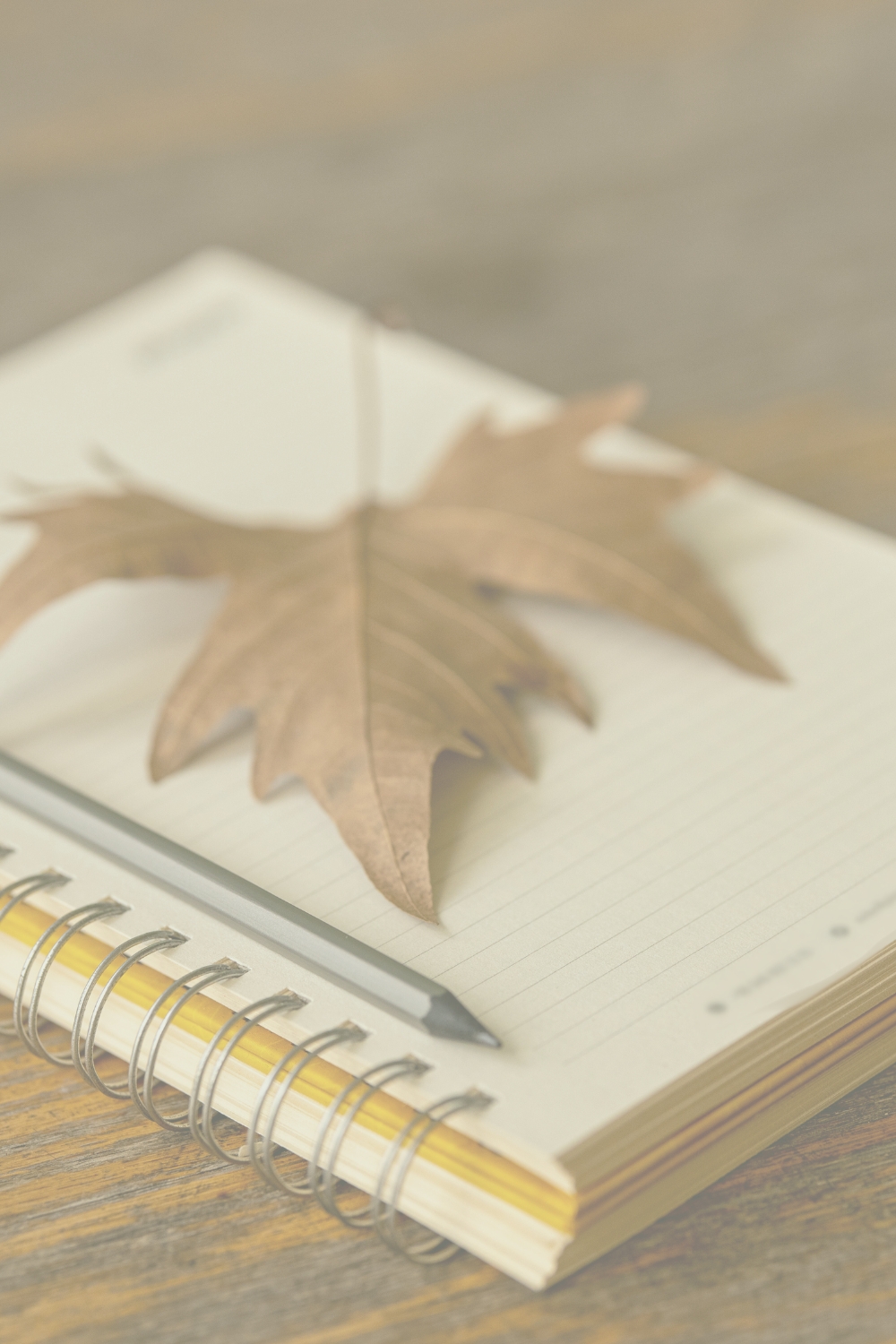 25 Inspiring Gratitude Journal Prompts to Celebrate Thanksgiving and Warm Your Heart